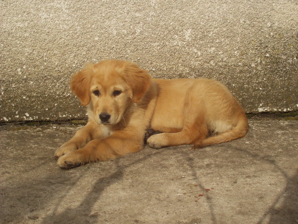 Pozvánka na veľtrh