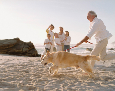 Cestovné desatoro pre prázdniny so psom