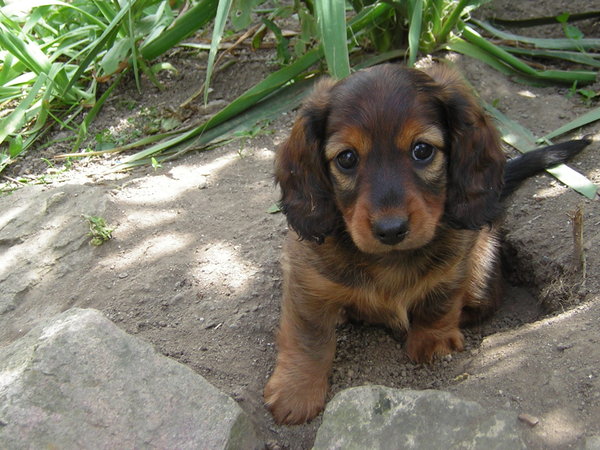 Keď ono tak smutne pozerá