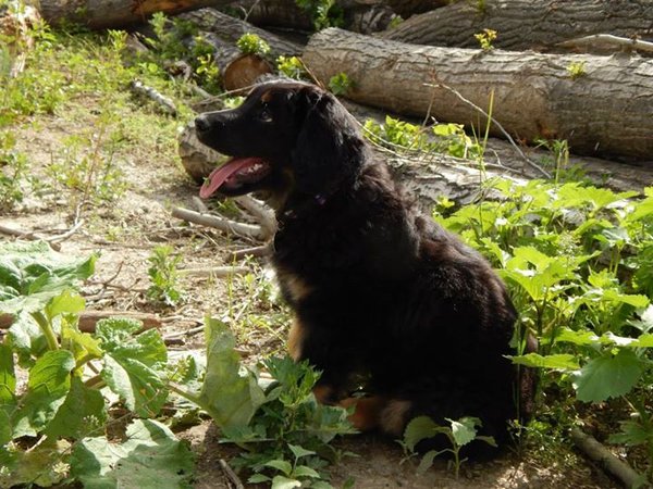 Sakramentsky stratený?