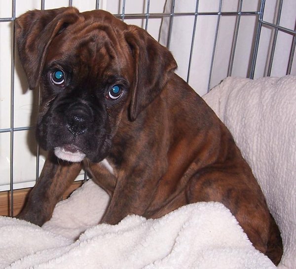 Kto by sa búrky a petárd bál