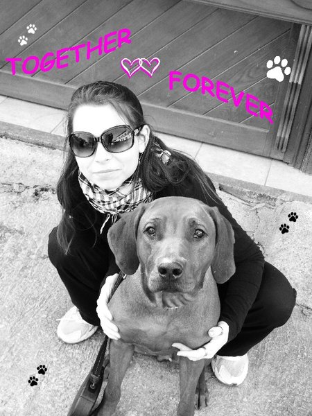 Desať vecí, ktoré by vám povedal pes