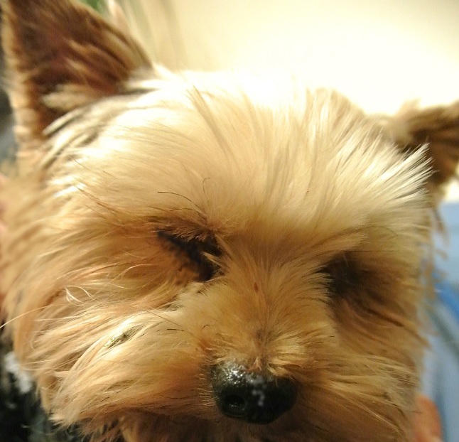 Množiarne - peklo na zemi