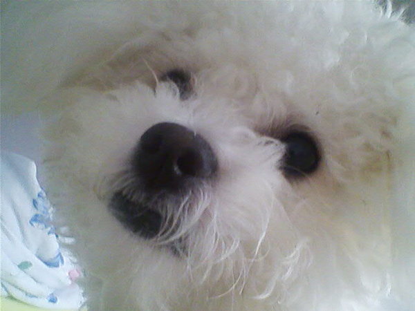 Príbeh z množiarne: Aj najsilnejší prehráva