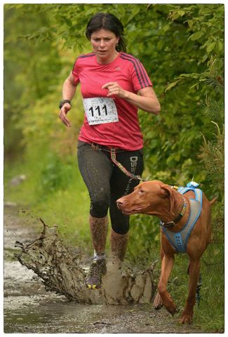 Behajte so psom ako profík