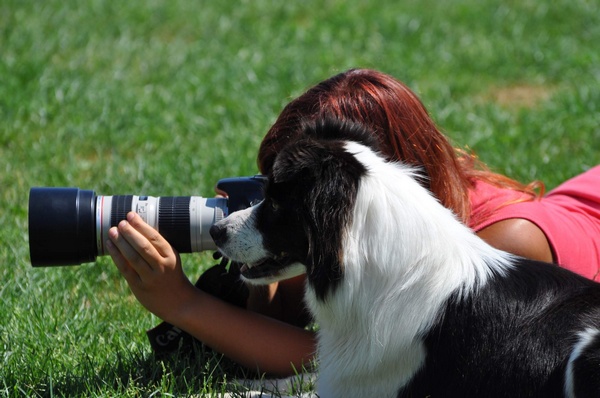 Aký pes, taký pán?