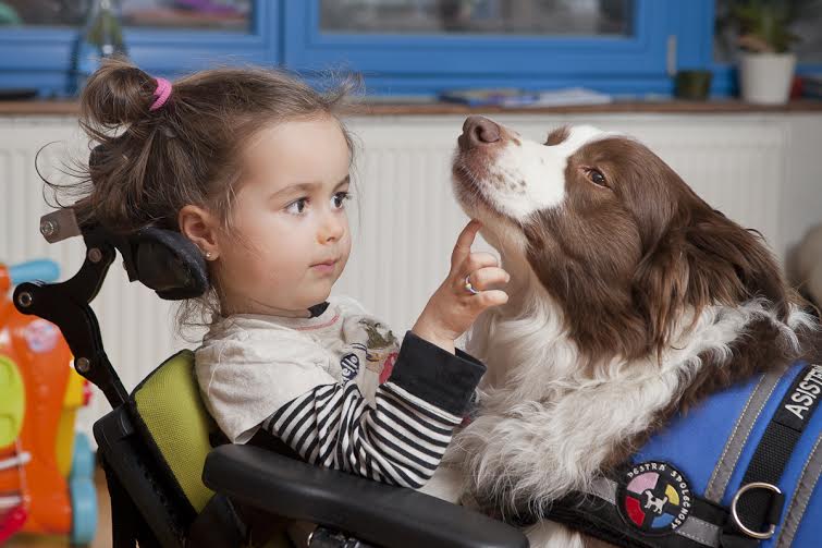 Štát neplatí asistenčné psy ani deťom