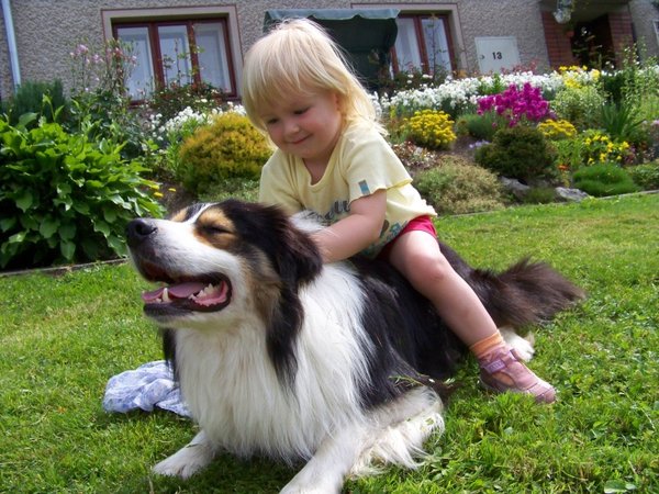 Pes si s deťmi rozumie