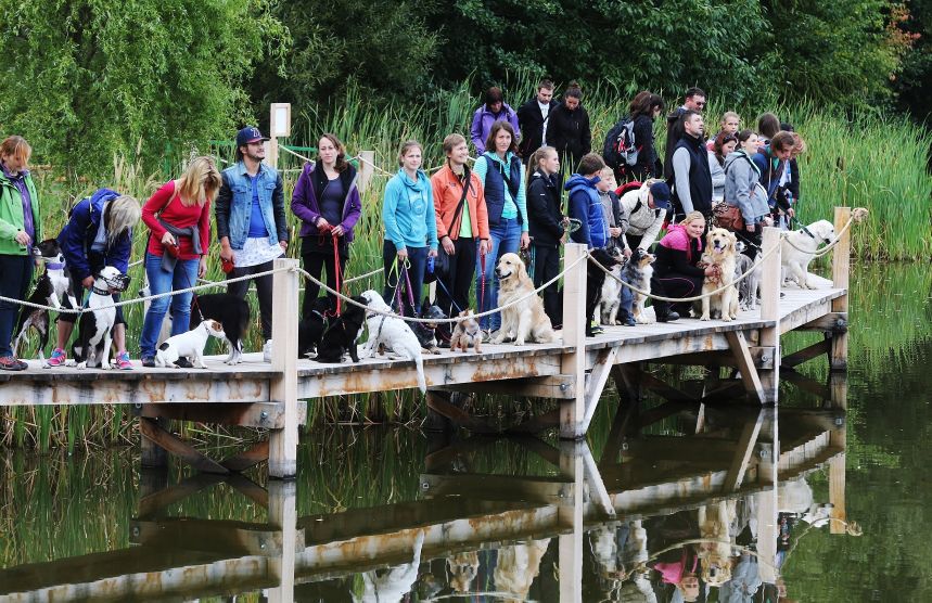 Monínec zažil psie rekord