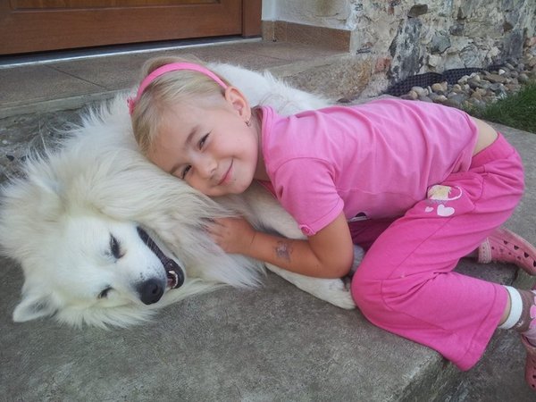 10 dôvodov, prečo je skvelé mať domáceho maznáčika