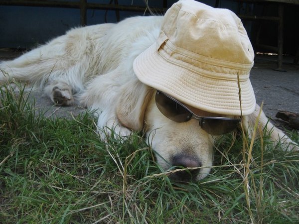 Čo zariadiť pred cestou do zahraničia?