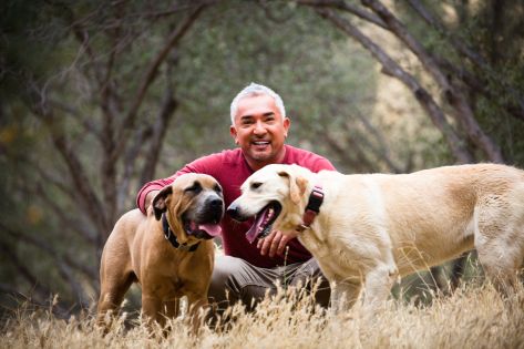 Najpopulárnejší cvičiteľ psov Cesar Millan prvýkrát v Čechách
