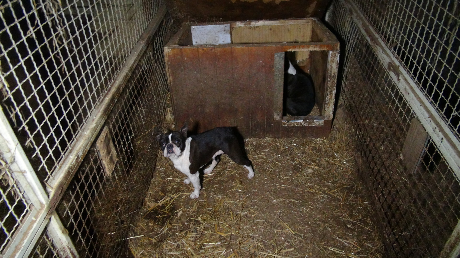 Zábery z množiarne