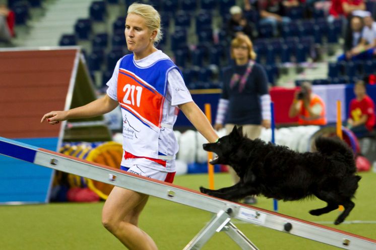 Majstrovstvá sveta v agility 2017 mieri do Liberca