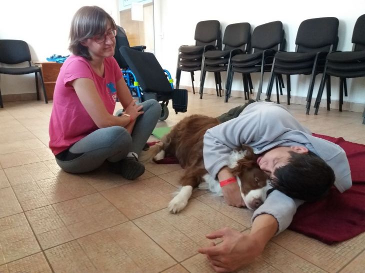 Martinovo rozhodovania pre asistenčného psa