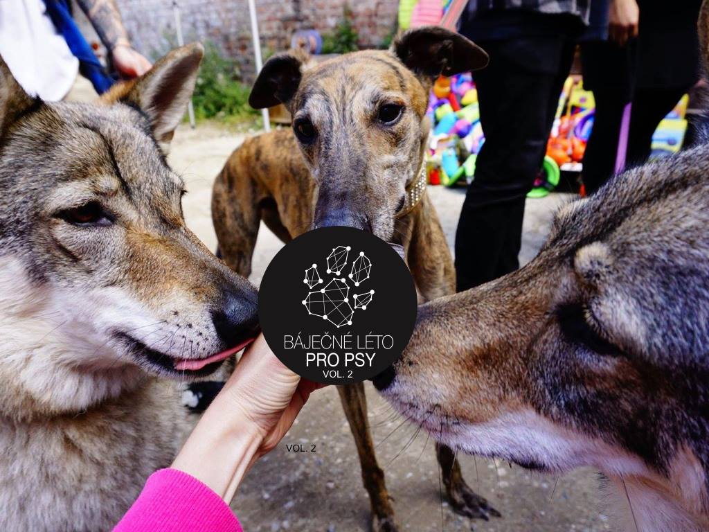 Pozvánka: Báječné leto pre psov vol. 2